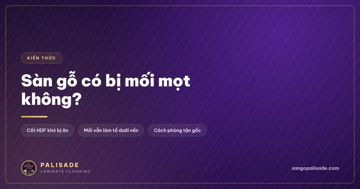 Sàn gỗ có bị mối mọt không? Sự thật về cốt HDF và cách phòng mối